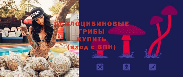 экстази Арсеньев